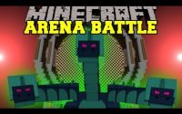 Boss Battle Arena