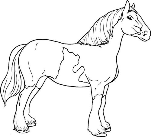 Лошадь майнкрафт